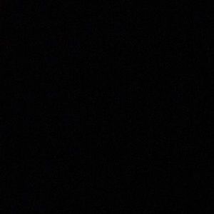 Meet your Posher, Renzo